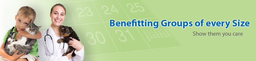 Image4